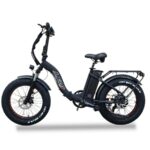 E-BIKE FLORIDA COMFORT