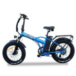 LEM E-BIKE ORLANDO COMFORT SPECIAL