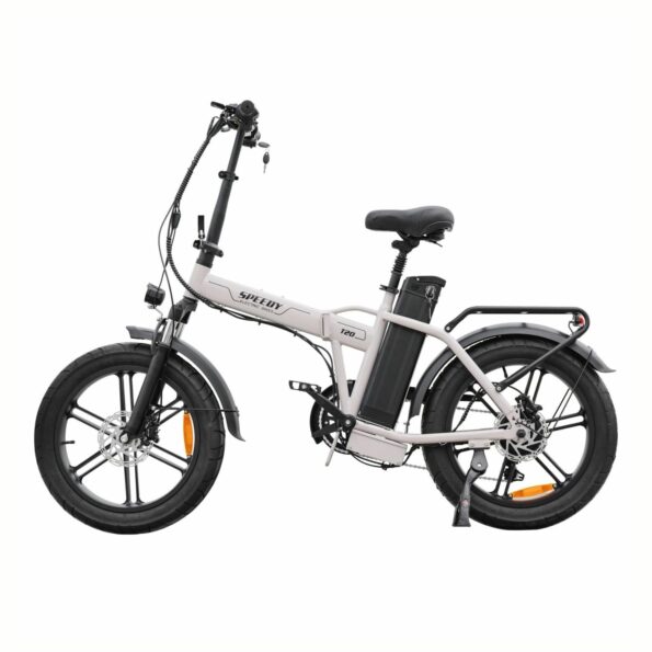 Bici elettrica SPEEDY 250w 48V