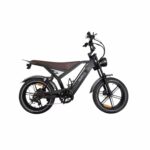 Bici Elettrica GT20 250w batteria 48V