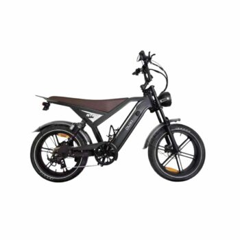 Bici Elettrica GT20 250w batteria 48V