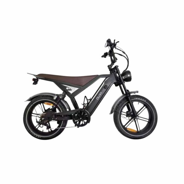 Bici Elettrica GT20 250w batteria 48V