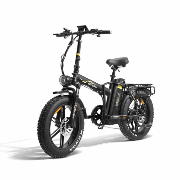 BICI ELETTRICA C94 doppia Batteria 250W - 48v 35Ah display a colori